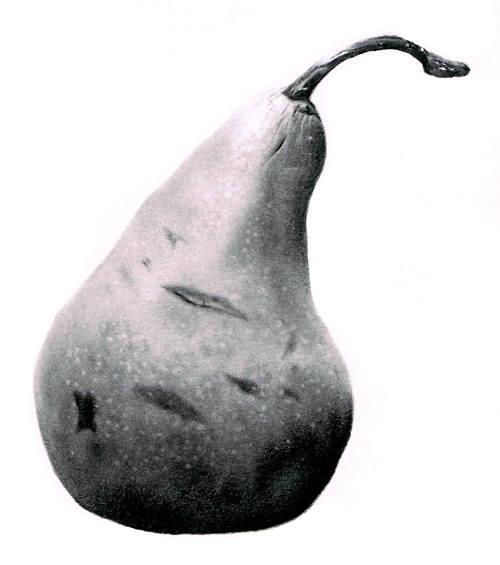 learn how to draw people